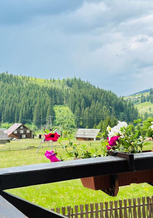 Guest House Lileya Bukowel Zewnętrze zdjęcie